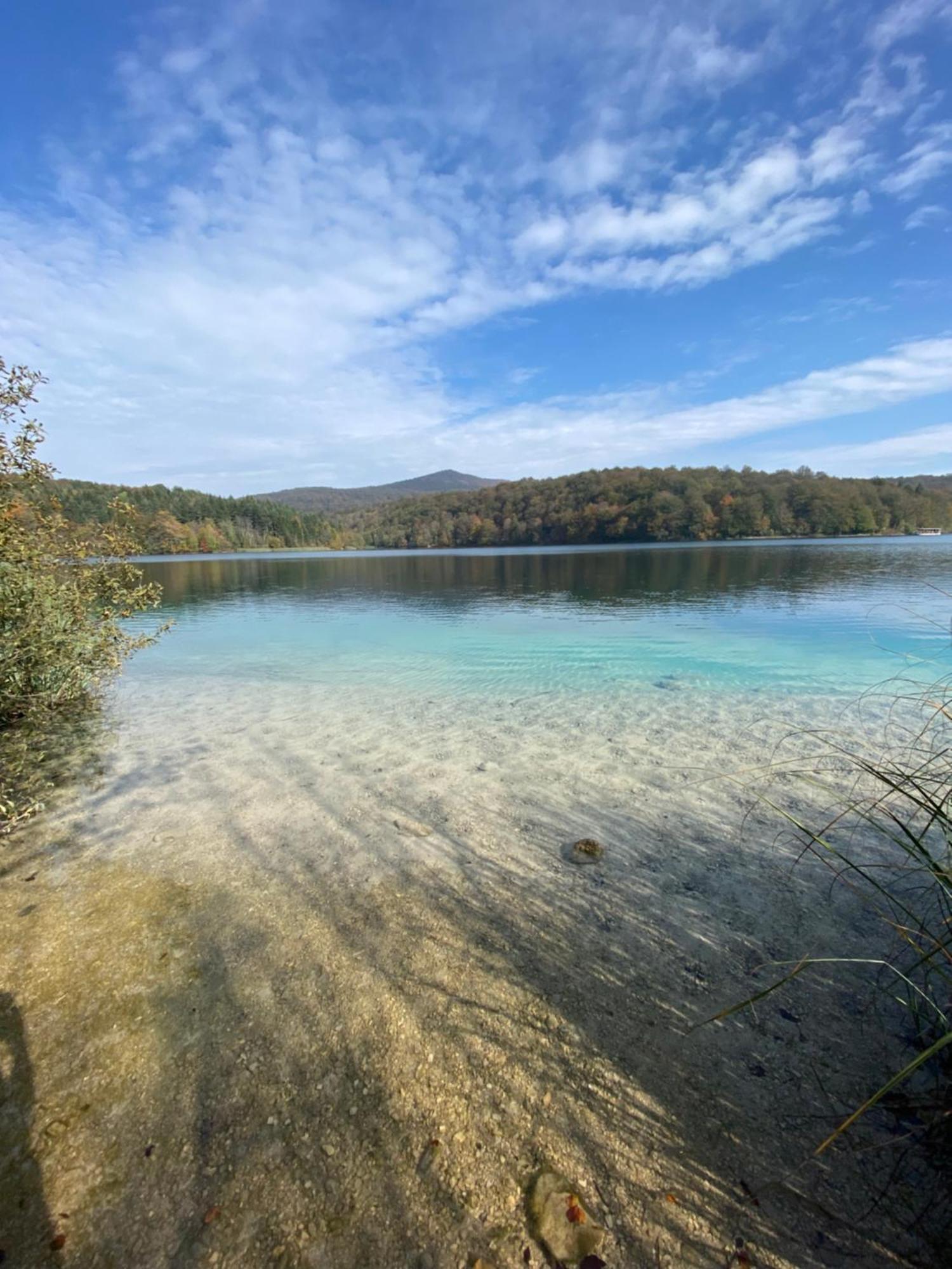 B&B Plitvice Area Natura Селище Дрезницко Екстериор снимка